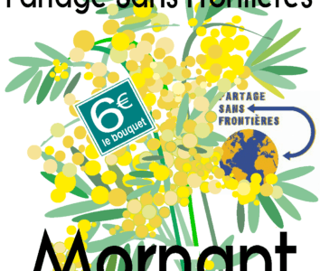 Vente de mimosa à Mornant le 9 février 2025